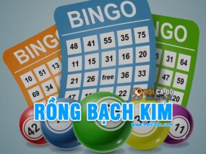 soi-cau-rong-bach-kim-288